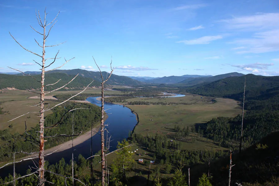 Mongolia taimen river