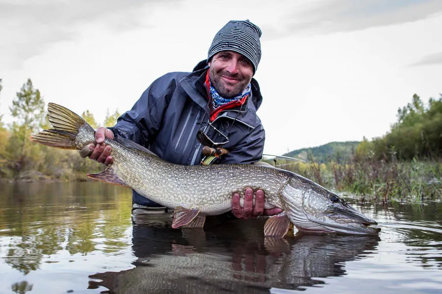 Mongolian pike fishing