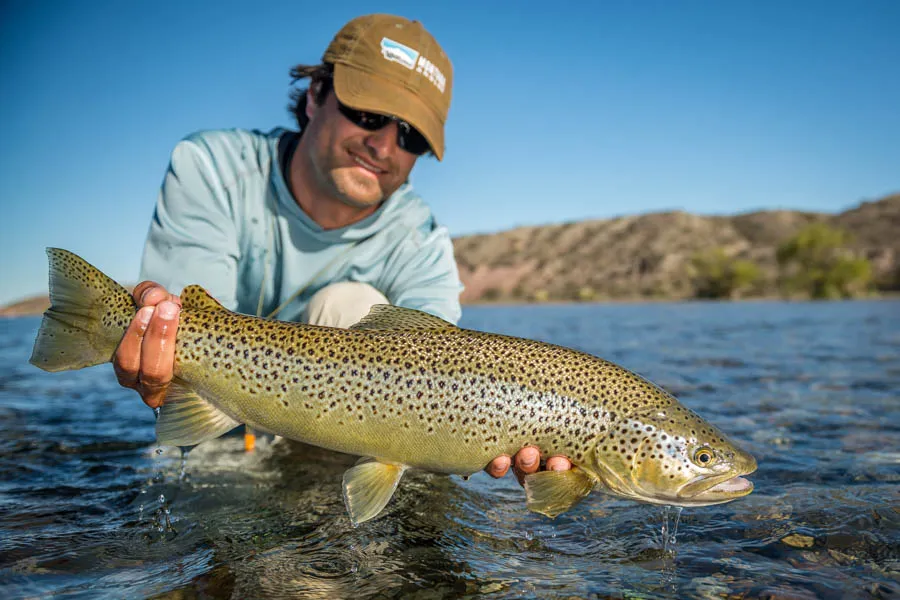 Nice brown