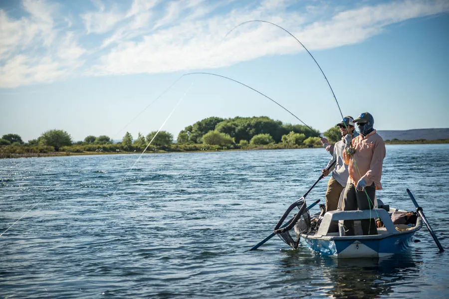 Limay hookup