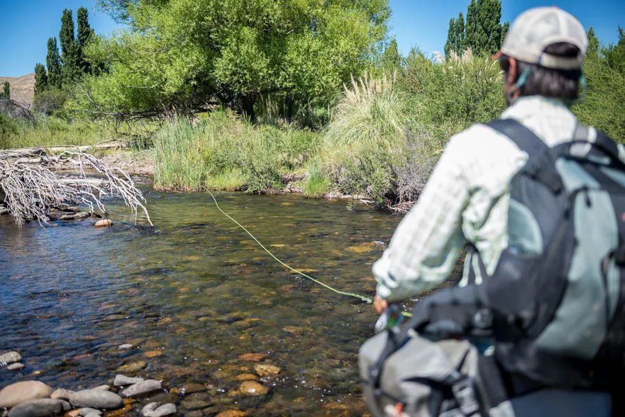 Fly Fishing in Argentina small streams