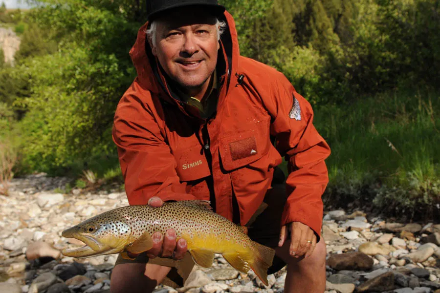 fly fishing for brown trout