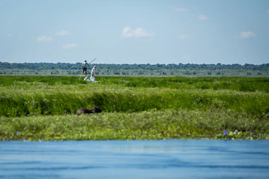 hosted fishing trips