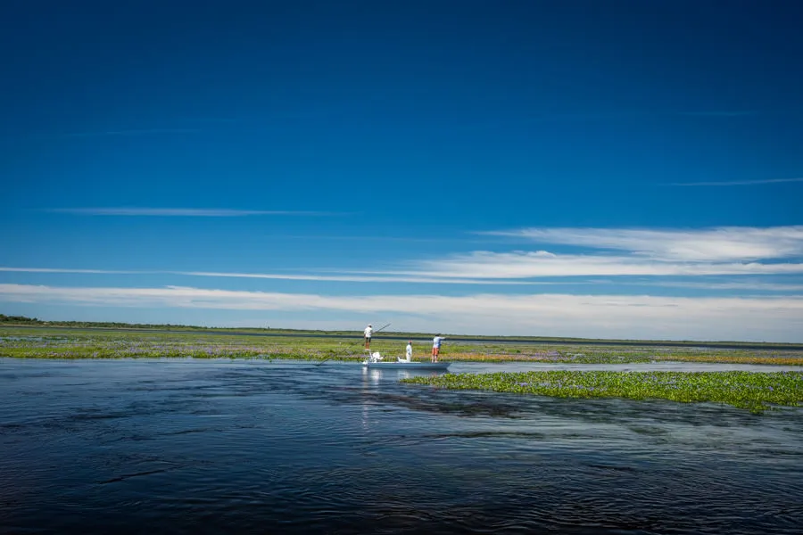 argentina float fishing trips