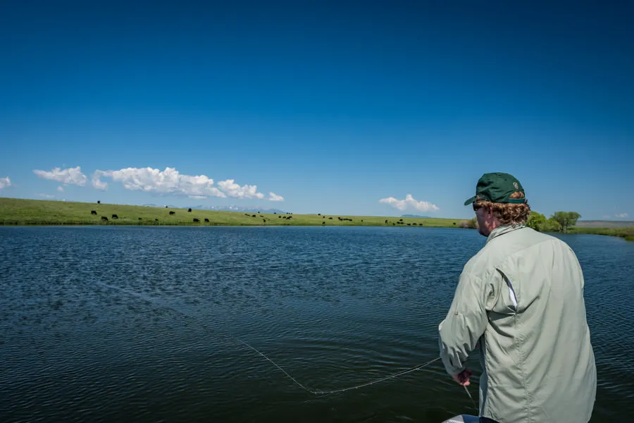trophy pond fish