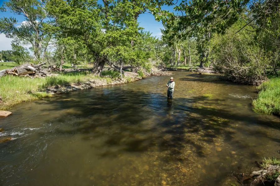 Guided wade fishing