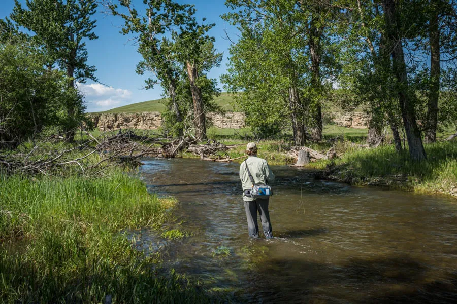 no-tellum-creek