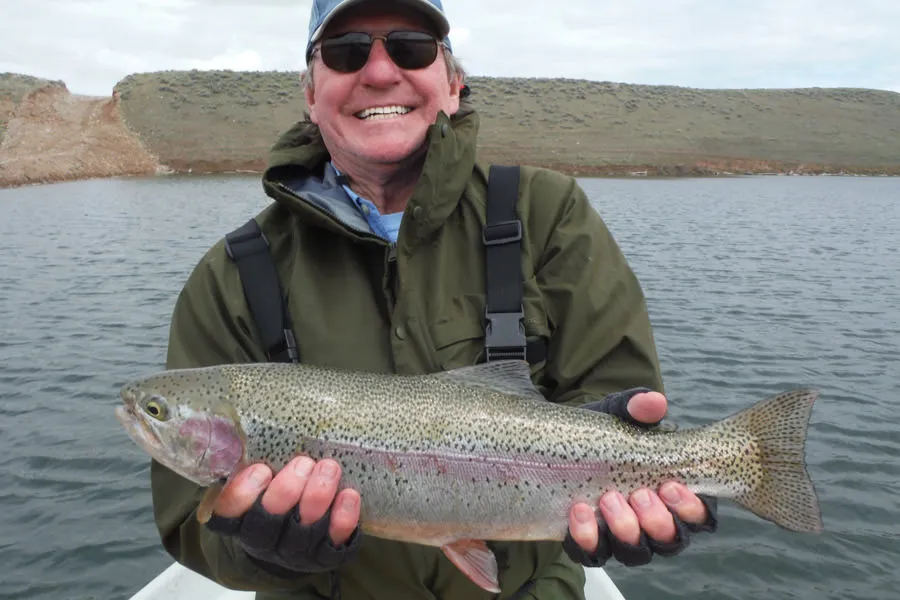 huge rainbow trout
