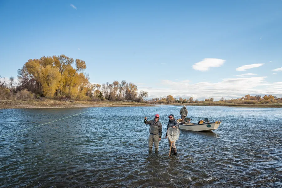catching upper missouri river trout