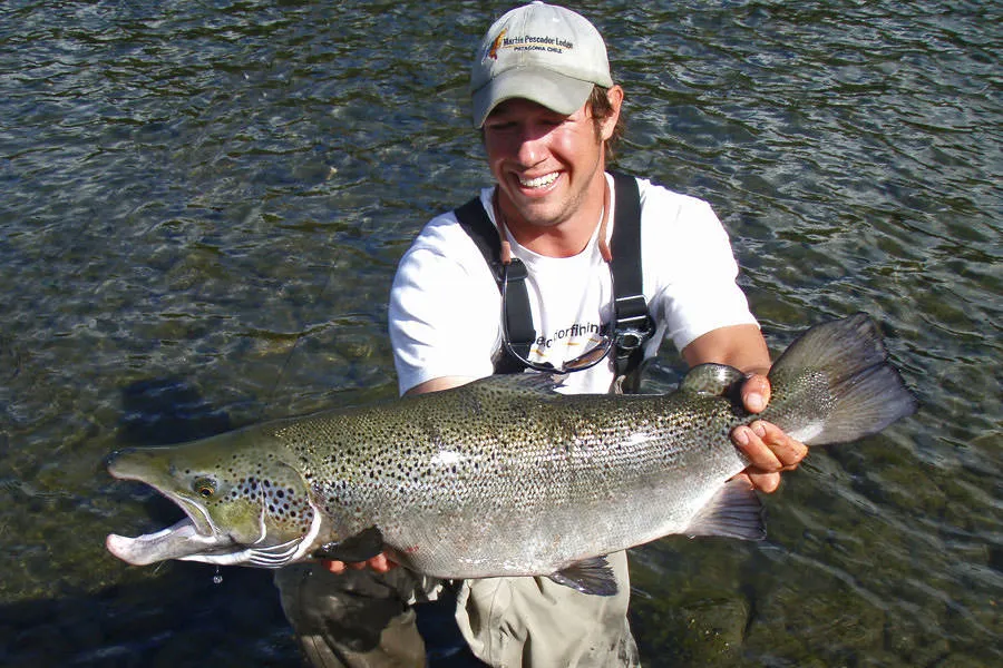 big trout in patagonia