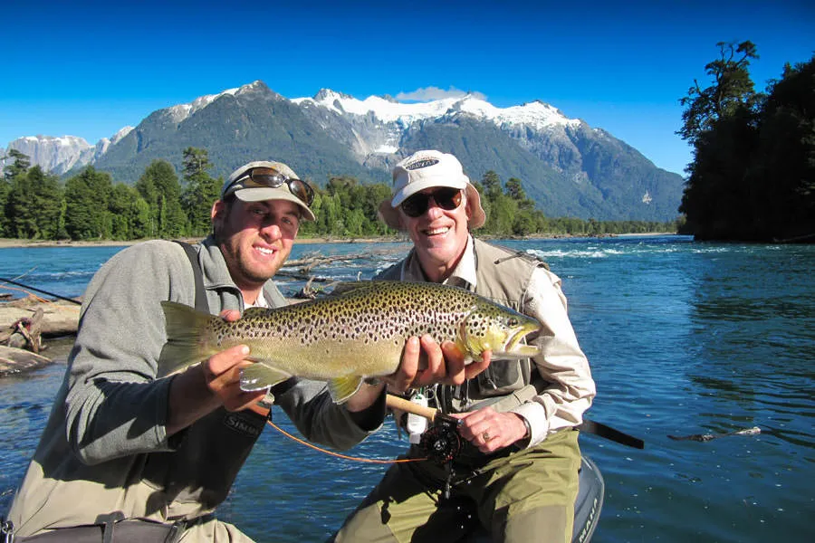 nice brown trout