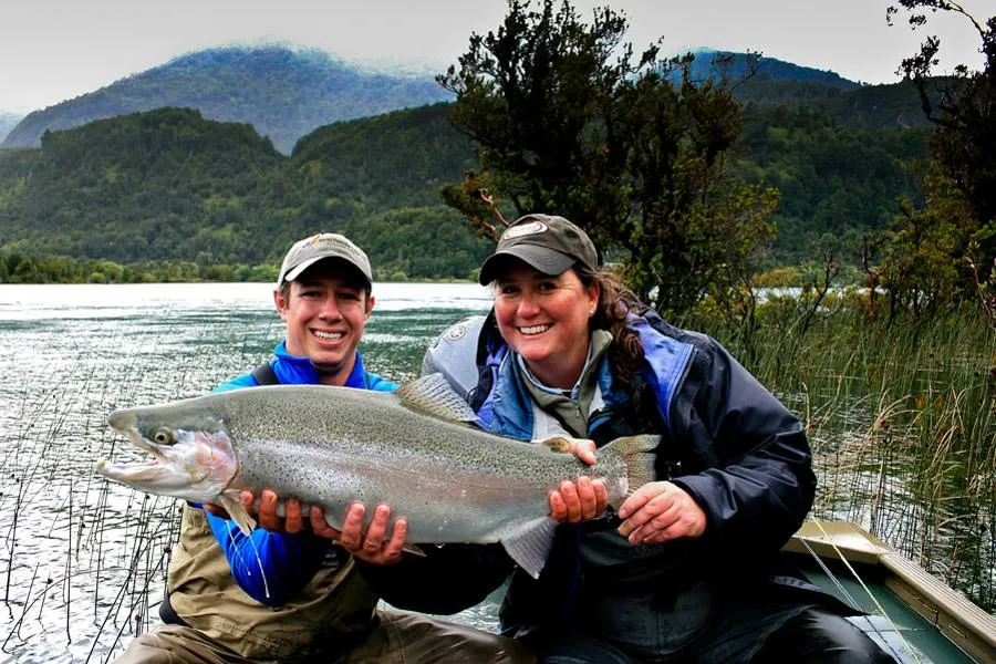 Huge rainbow trout