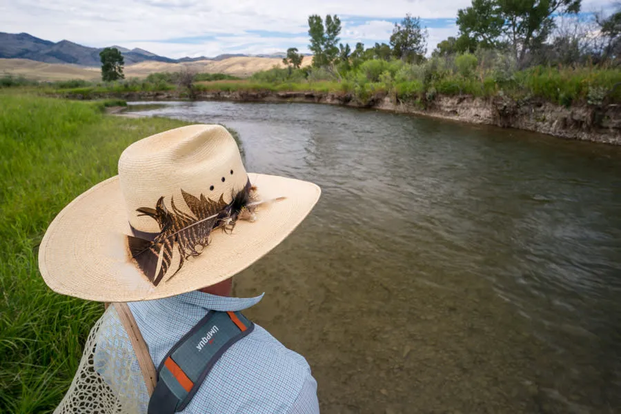 Montana hopper fishing