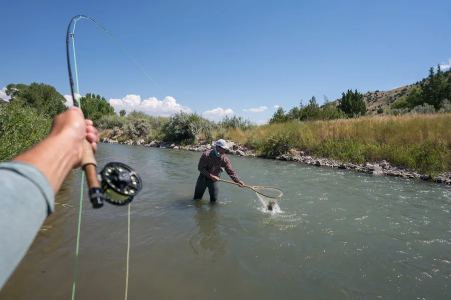 Guide netting fish