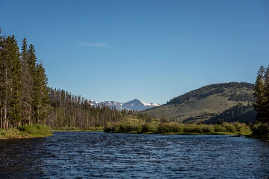 guided fly fishing trips