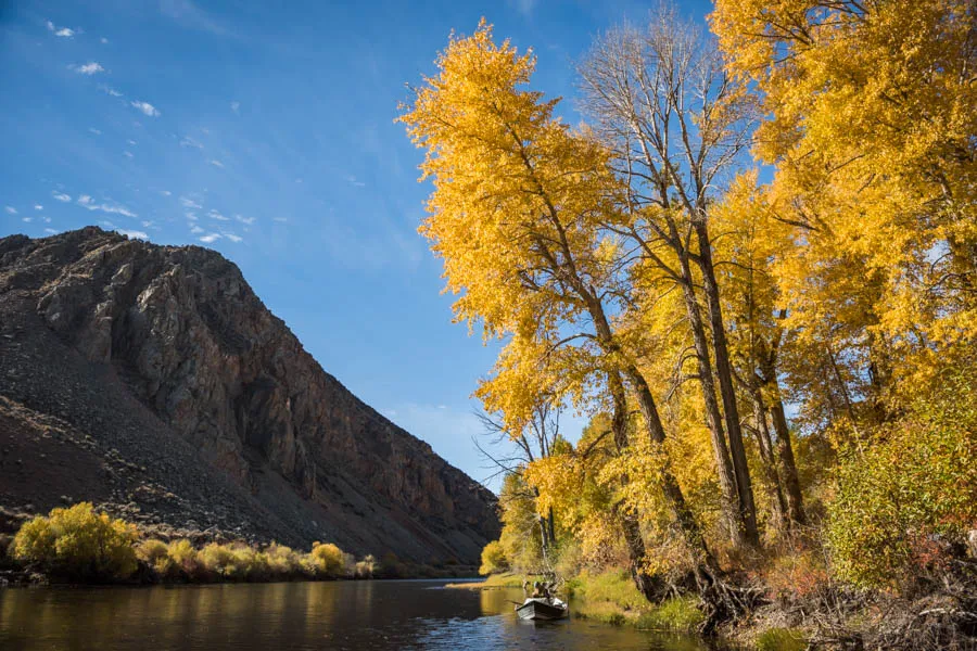 fall fishing