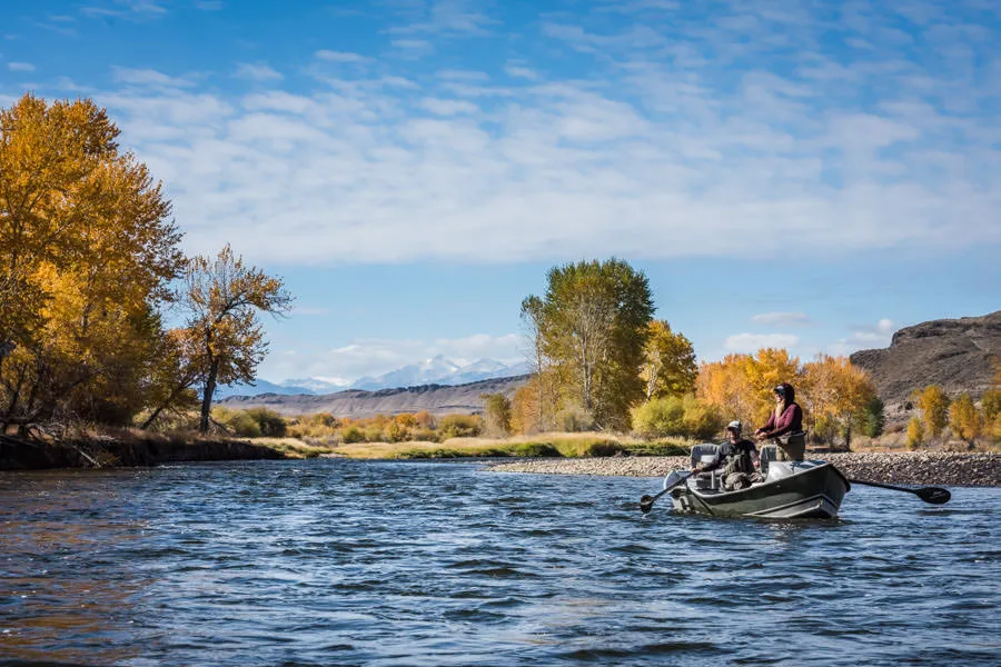 Montana fly fishing trips