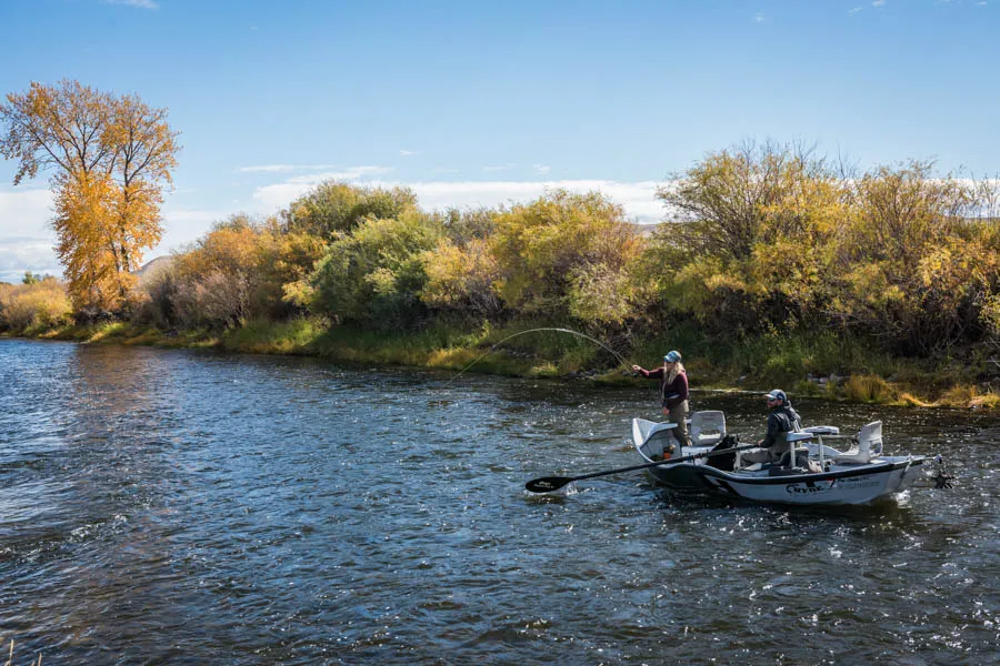 montana fly fishing guides