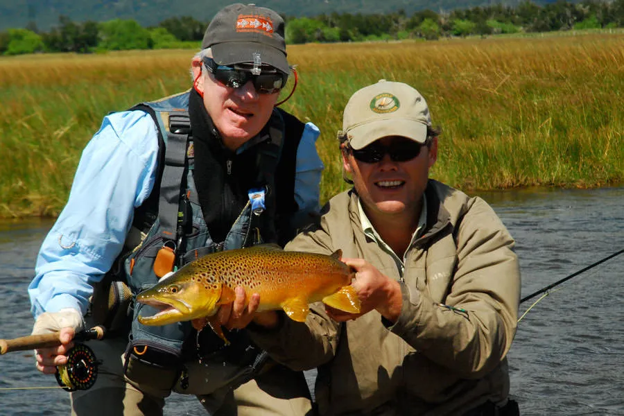 big brown trout