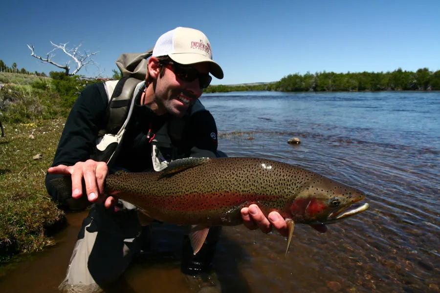 big rainbow trout