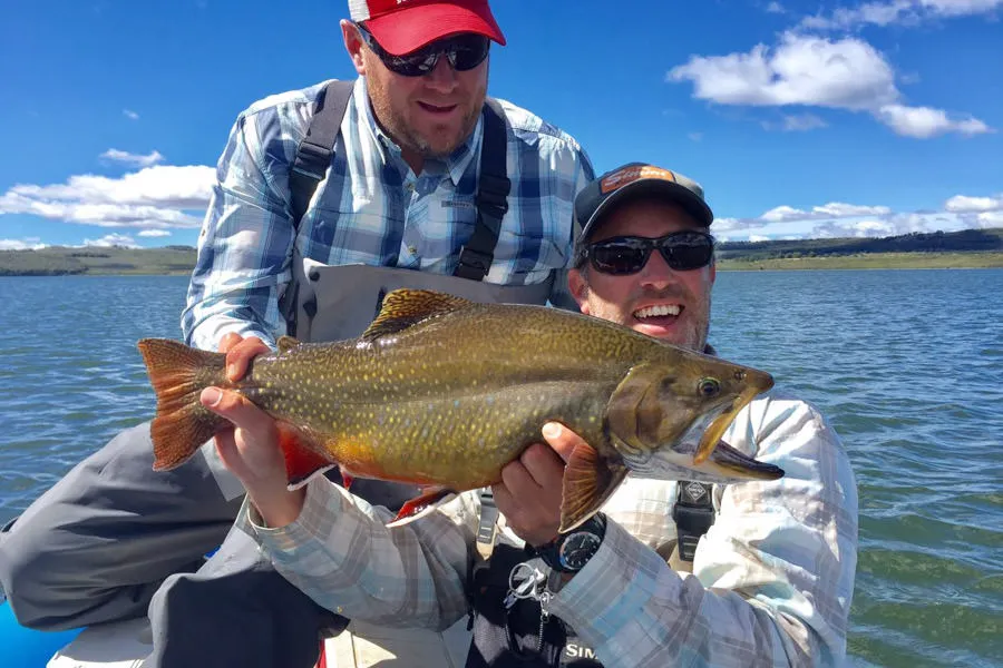 trophy trout