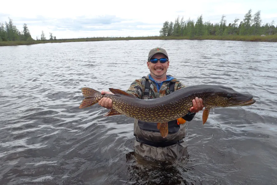 Canada pike fishing