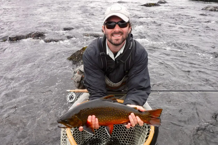 Monster brook trout