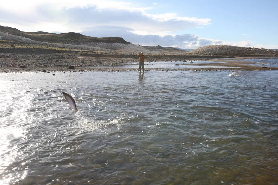 Argentina fishing guides