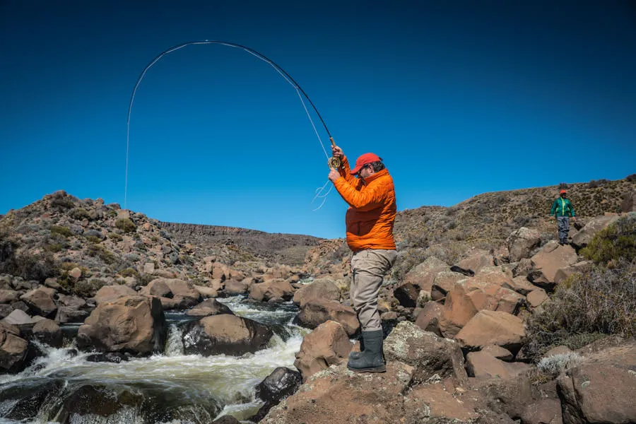 Biggest rainbow trout in the world
