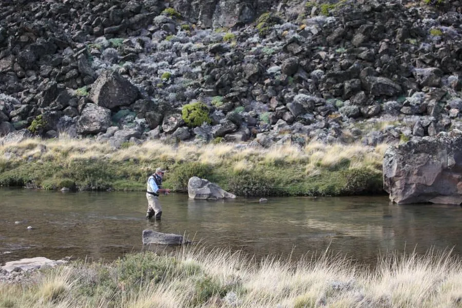 Patagonia fly fishing trips