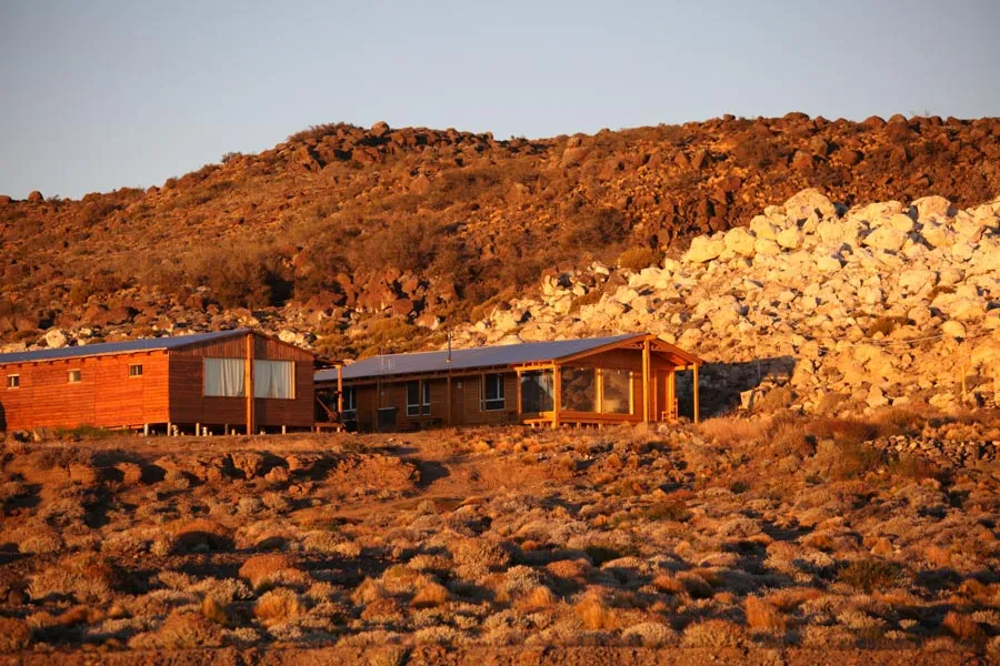 Jurassic Lake Lodge