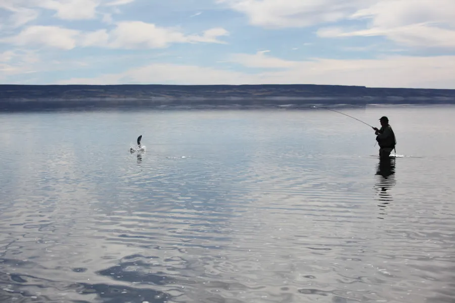 Jurassic Lake