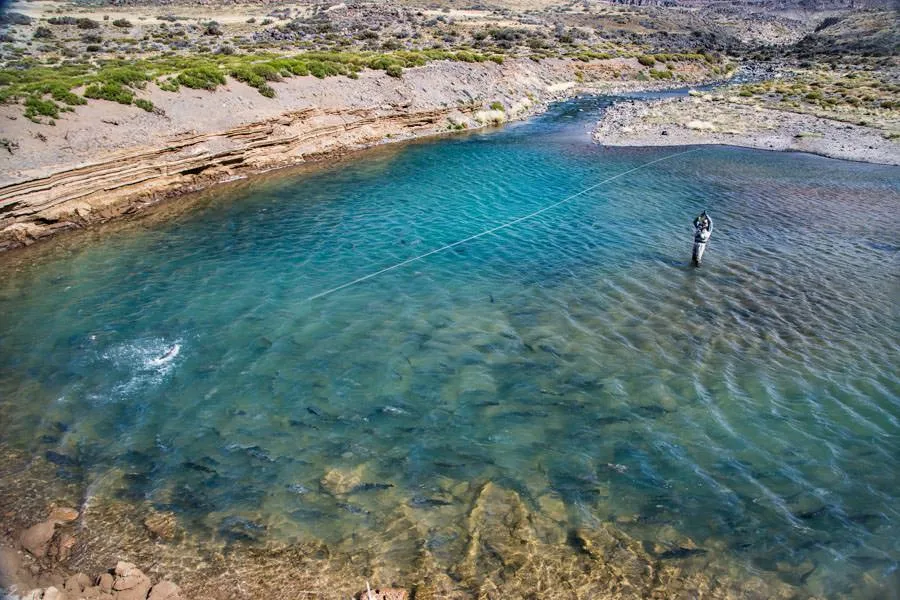 Patagonia fly fishing trips