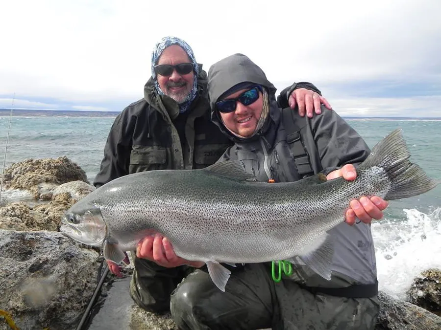Giant Rainbow Trout