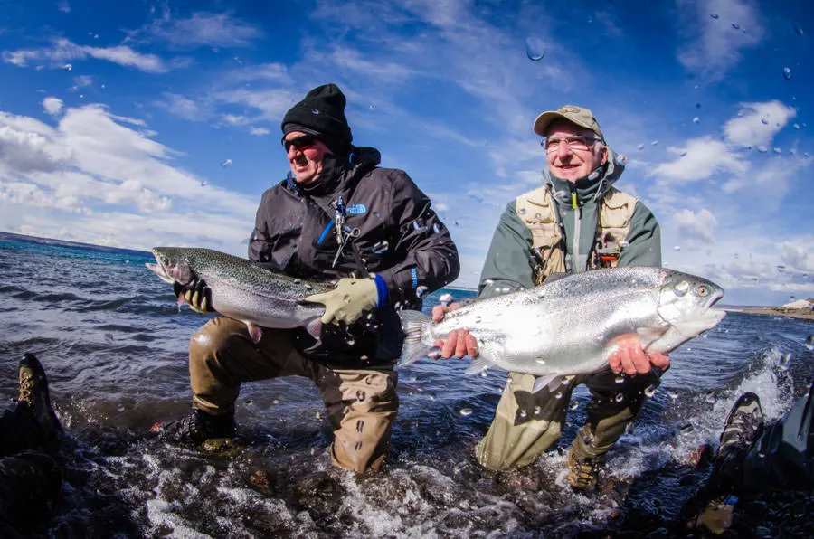 Trophy trout