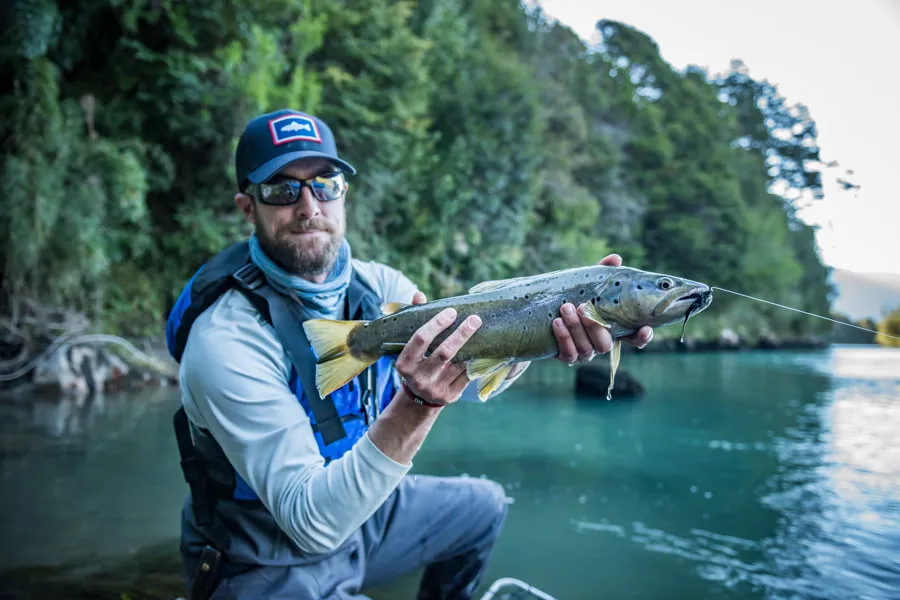 Big brown trout