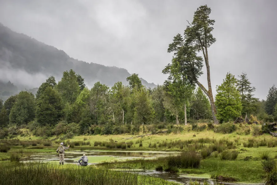 Chile spring creeks