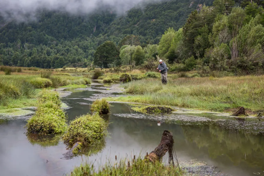 Chile spring creeks