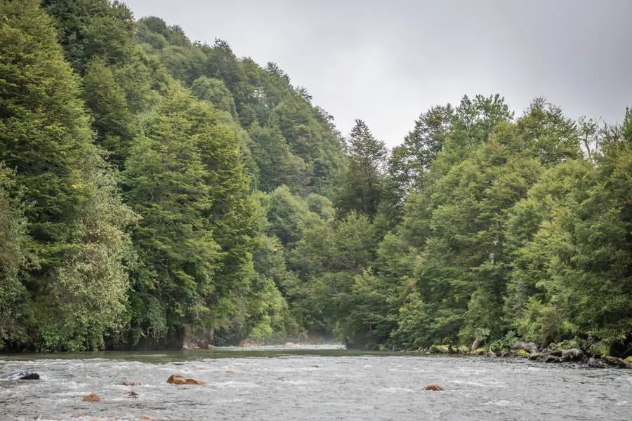 fly fishing in Chile