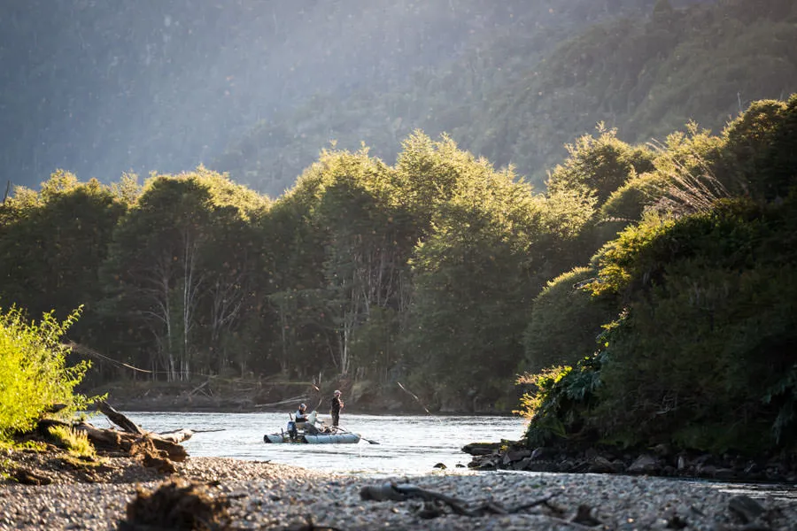 Fishing the hatch in Chile