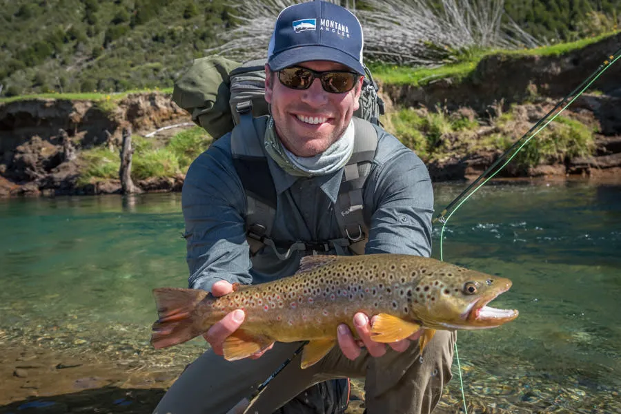 Chilean brown trout