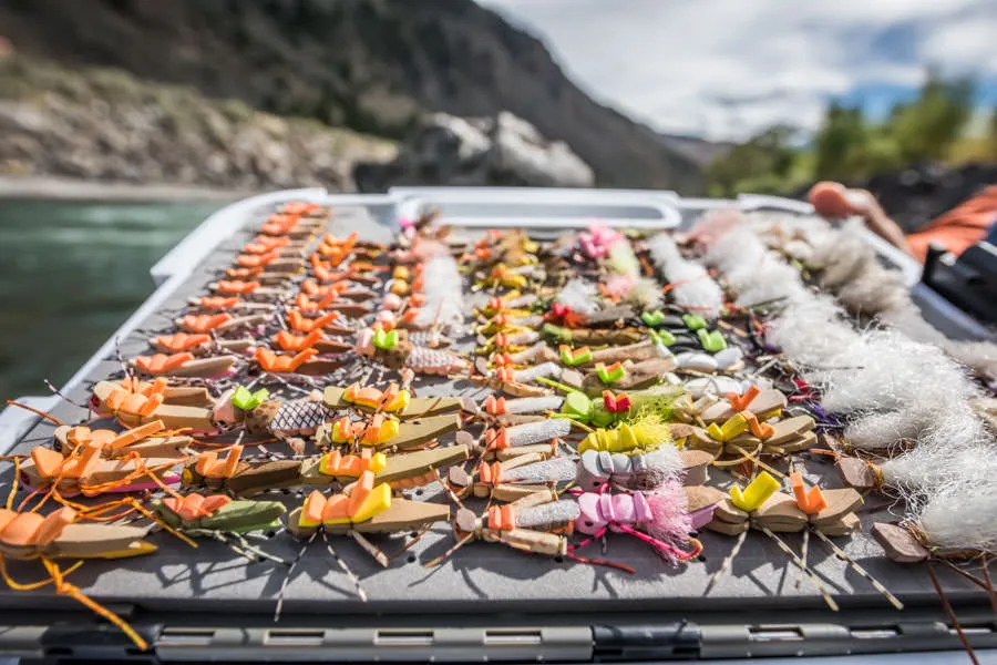 Montana fly fishing guides