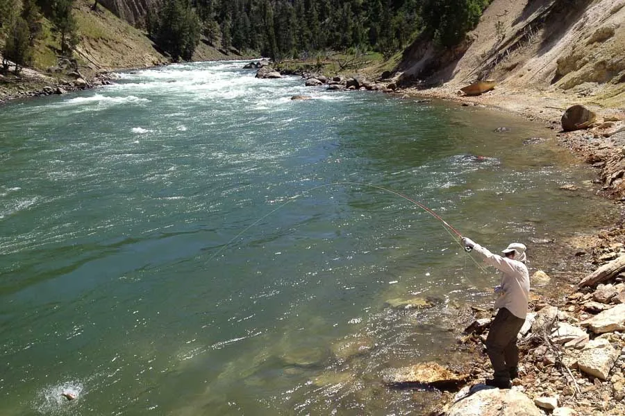 Yellowstone River fly fishing guides