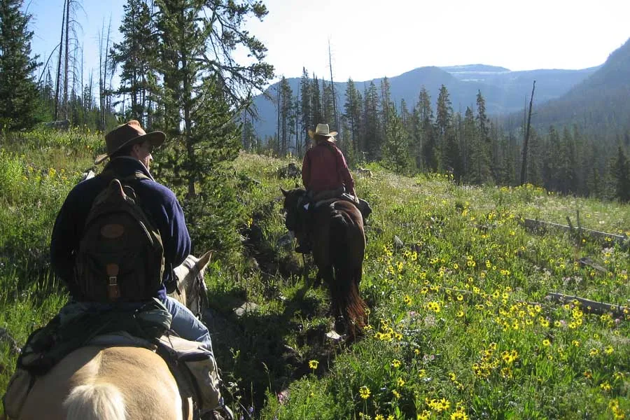 Montana Horse Pack Trips, Montana Angler