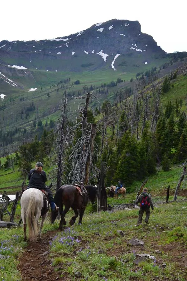 Montana Fly Fishing, Montana Angler