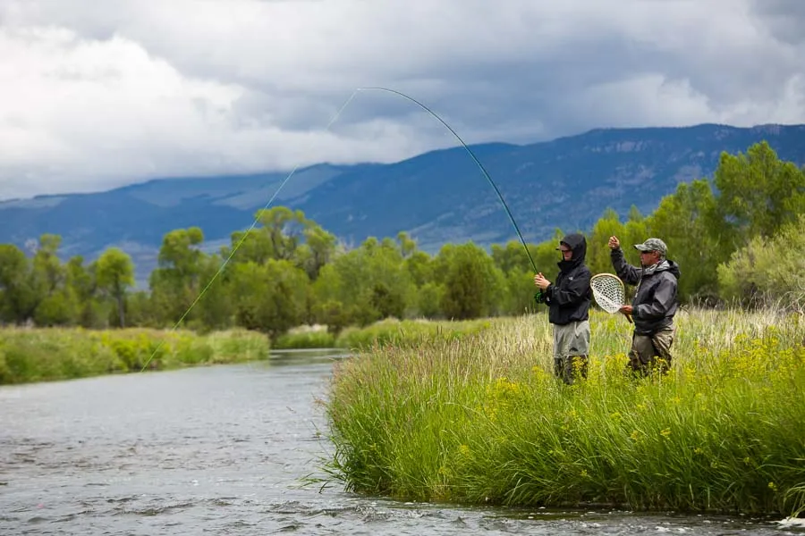 guides montana
