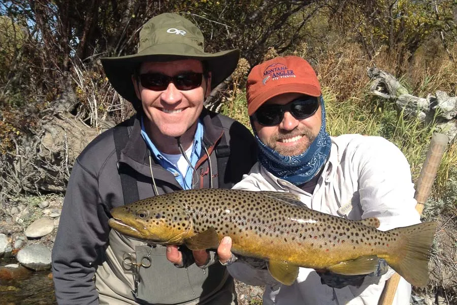 brown trout holding