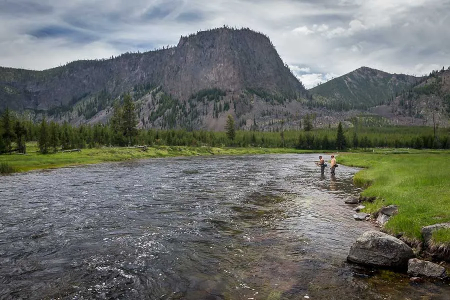 Madison River in Yellowstone Park
