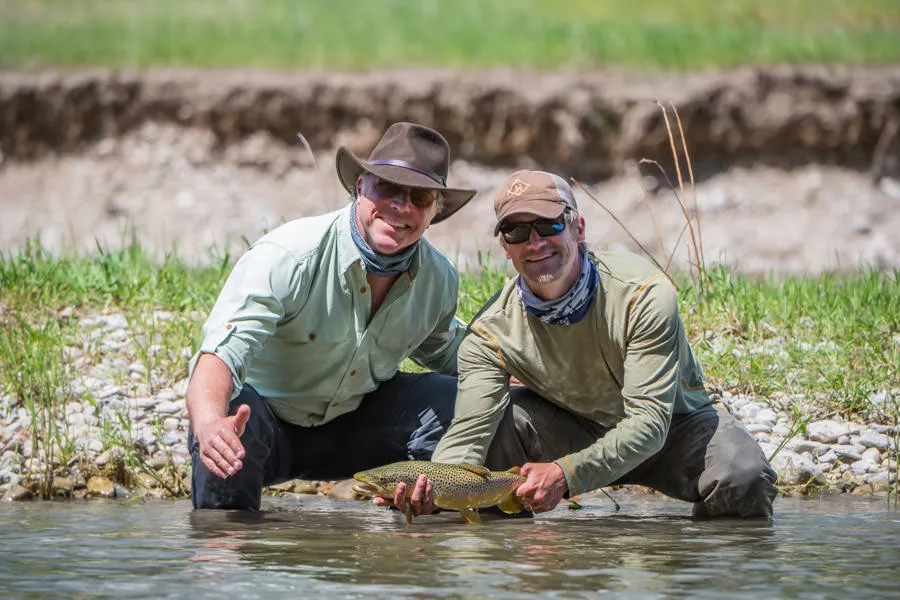 brown trout
