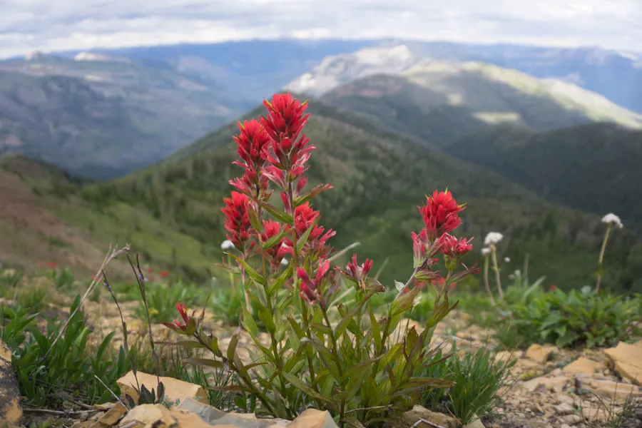 Bob Marshall Wilderness